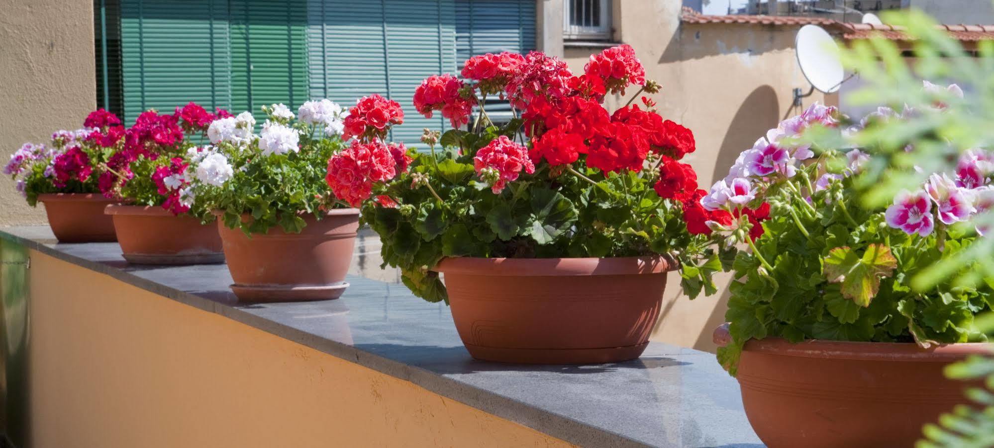 Appartement Tetto Fiorito à Castellammare di Stabia Extérieur photo