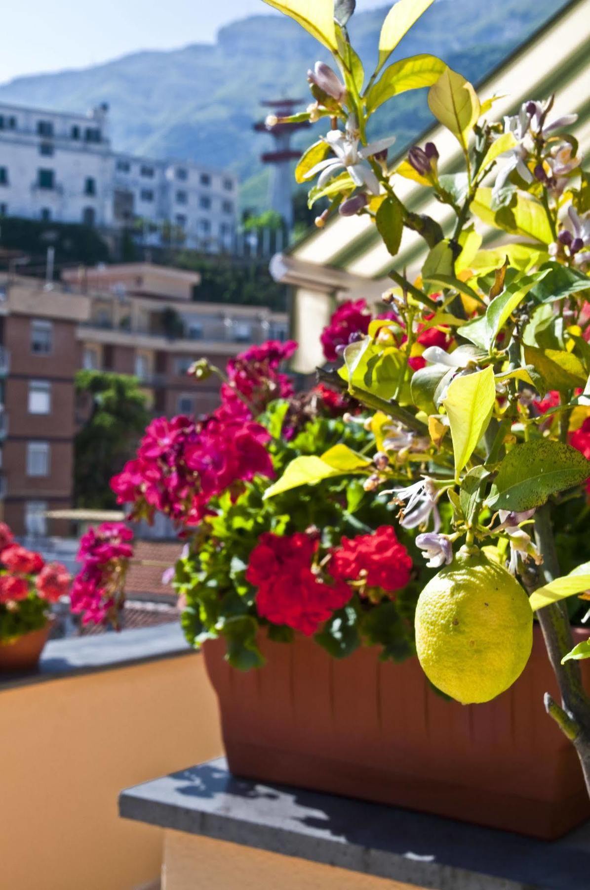 Appartement Tetto Fiorito à Castellammare di Stabia Extérieur photo